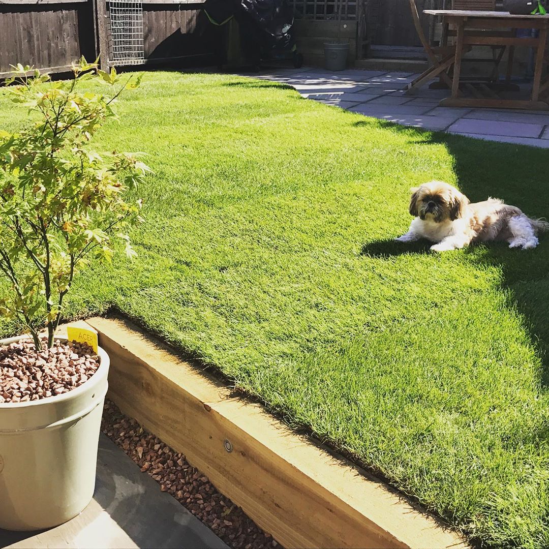 garden edging with oak sleepers